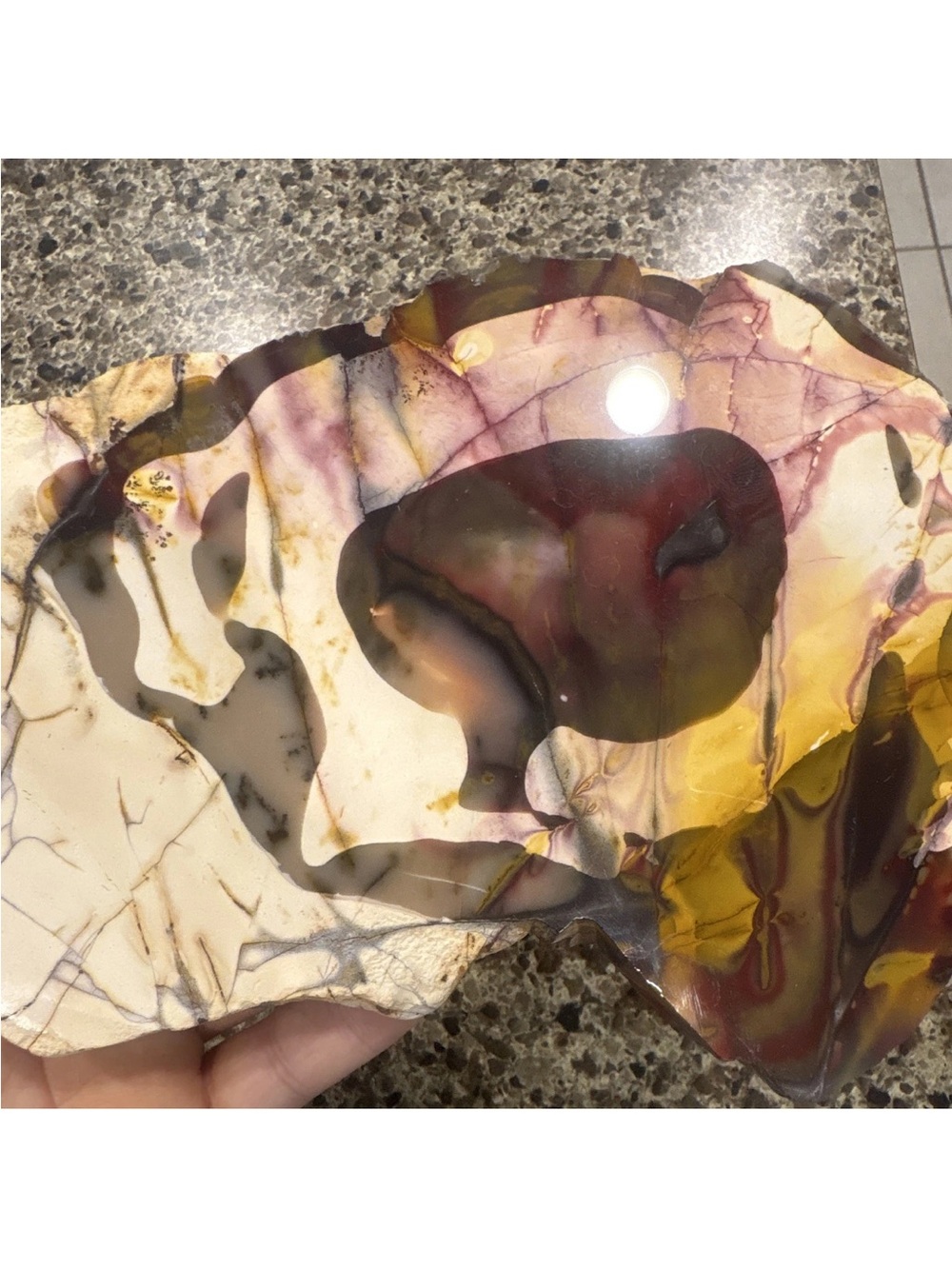 Polished Mookaite Jasper Slab - Rich Maroon, Mustard & Cream